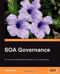Soa Governance