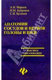 Анатомия сосудов и нервов головы и шеи
