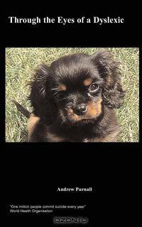 Through the Eyes of a Dyslexic