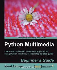 Python Multimedia Beginner
