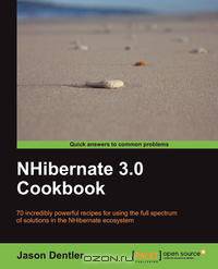 Nhibernate 3.0 Cookbook