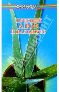 Лечение алоэ и каланхоэ