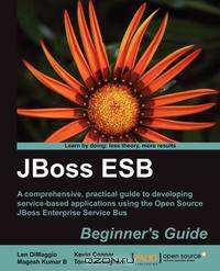 Jboss Esb Beginner