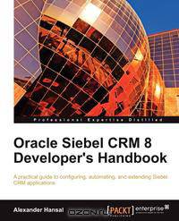 Oracle Siebel Crm 8 Developer