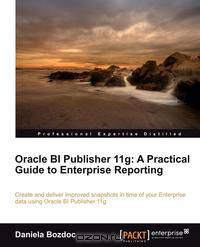Oracle Bi Publisher 11g