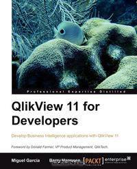 Qlikview 11 Developer