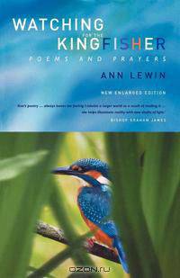 Watching for the Kingfisher