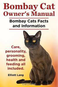 Bombay Cat Owner
