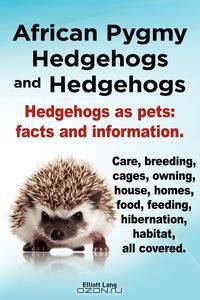 African Pygmy Hedgehogs and Hedgehogs. Hedgehogs as pets
