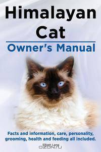 Himalayan Cat Owner