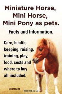 Miniature Horse, Mini Horse, Mini Pony as pets. Facts and Information. Miniature horses care, health, keeping, raising, training, play, food, costs and where to buy all included.