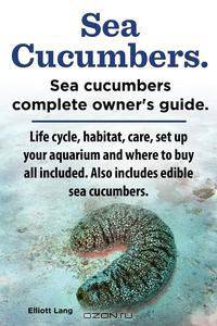 Sea Cucumbers. Seacucumbers complete owner