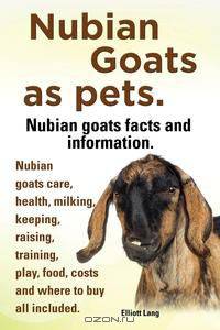 Nubian Goats as pets. Nubian goats facts and information. Nubian goats care, health, milking, keeping, raising, training, play, food, costs and where to buy all included.