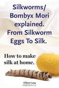 Silkworm/Bombyx Mori explained. From Silkworm Eggs To Silk. How to make silk at home. Raising silkworms, the mulberry silkworm, bombyx mori, where to buy silkworms all included.
