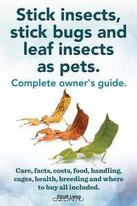 Stick insects, stick bugs and leaf insects as pets. Stick insects care, facts, costs, food, handling, cages, health, breeding and where to buy all included.