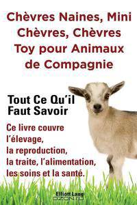 Chevres naines, mini chevres, chevres toy pour animaux de compagnie. Tout ce qu