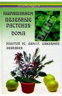 Выращиваем целебные растения дома: золотой ус, лимон, цикламен, эхинацея - (Панацея)