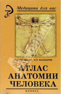 Атлас анатомии человека 2-е изд.