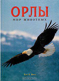 Орлы