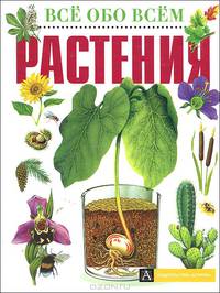 Растения