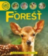 Life Cycles. Forest