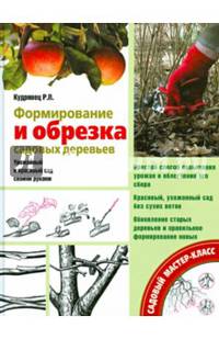 Формирование и обрезка садовых деревьев