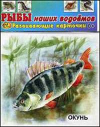 Развивающие карточки. Рыбы наших водоемов. Окунь (12 карточек)