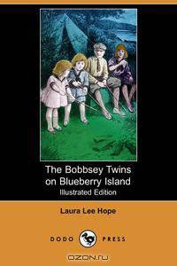 The Bobbsey Twins on Blueberry Island