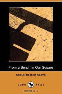 From a Bench in Our Square