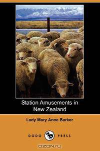 Station Amusements in New Zealand (Dodo Press)