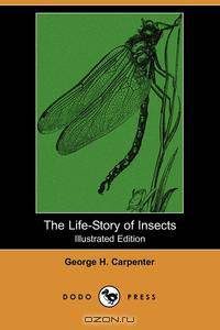 The Life-Story of Insects (Illustrated Edition) (Dodo Press)