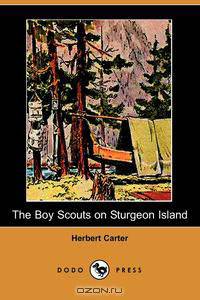 The Boy Scouts on Sturgeon Island (Dodo Press)