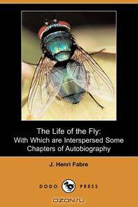 The Life of the Fly