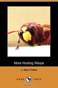More Hunting Wasps (Dodo Press)