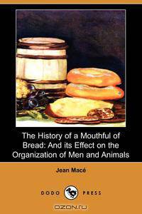 The History of a Mouthful of Bread