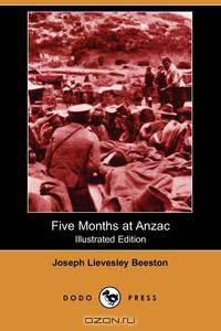 Five Months at Anzac