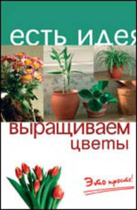 Выращиваем цветы. Это просто! - (Есть идея)