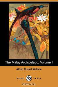 The Malay Archipelago, Volume I (Dodo Press)