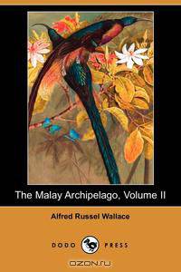 The Malay Archipelago, Volume II (Dodo Press)