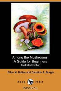 Among the Mushrooms