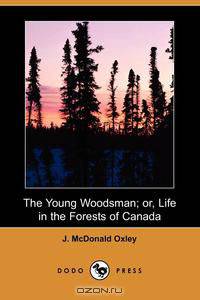 The Young Woodsman; Or, Life in the Forests of Canada (Dodo Press)