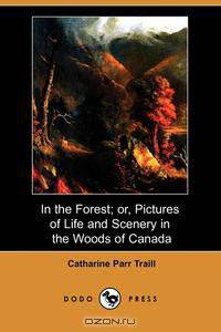 In the Forest; Or, Pictures of Life and Scenery in the Woods of Canada (Dodo Press)