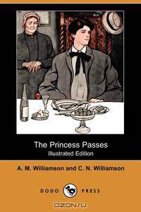 The Princess Passes (Illustrated Edition) (Dodo Press)