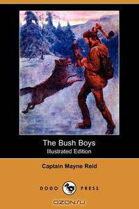 The Bush Boys (Illustrated Edition) (Dodo Press)