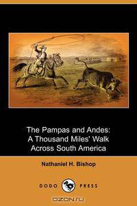 The Pampas and Andes