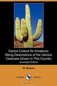 Cactus Culture for Amateurs
