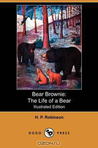 Bear Brownie