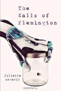The Walls of Flemington