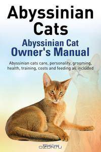 Abyssinian Cats. Abyssinian Cat Owner