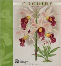 Orchids 2014 Calendar